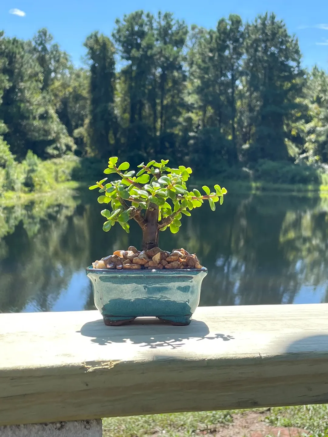 selected image for product