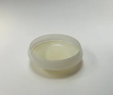 tab for image gallery