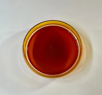 tab for image gallery