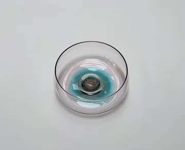 tab for image gallery