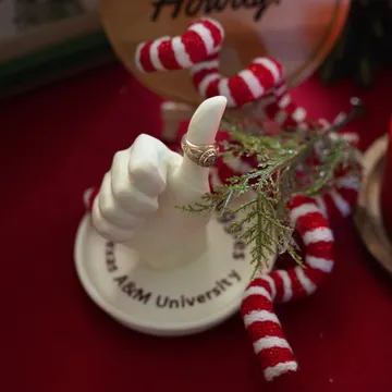 tab for image gallery