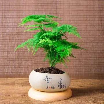 tab for image gallery