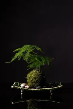 tab for image gallery