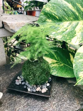 tab for image gallery