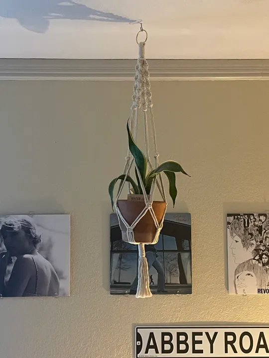 Macramé plant hanger